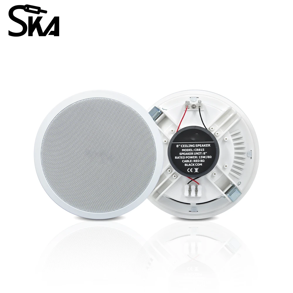 PW4420T+CR815 Akıllı Ev Ses Si - Audio Music Background Free incelemesi ve fiyatı