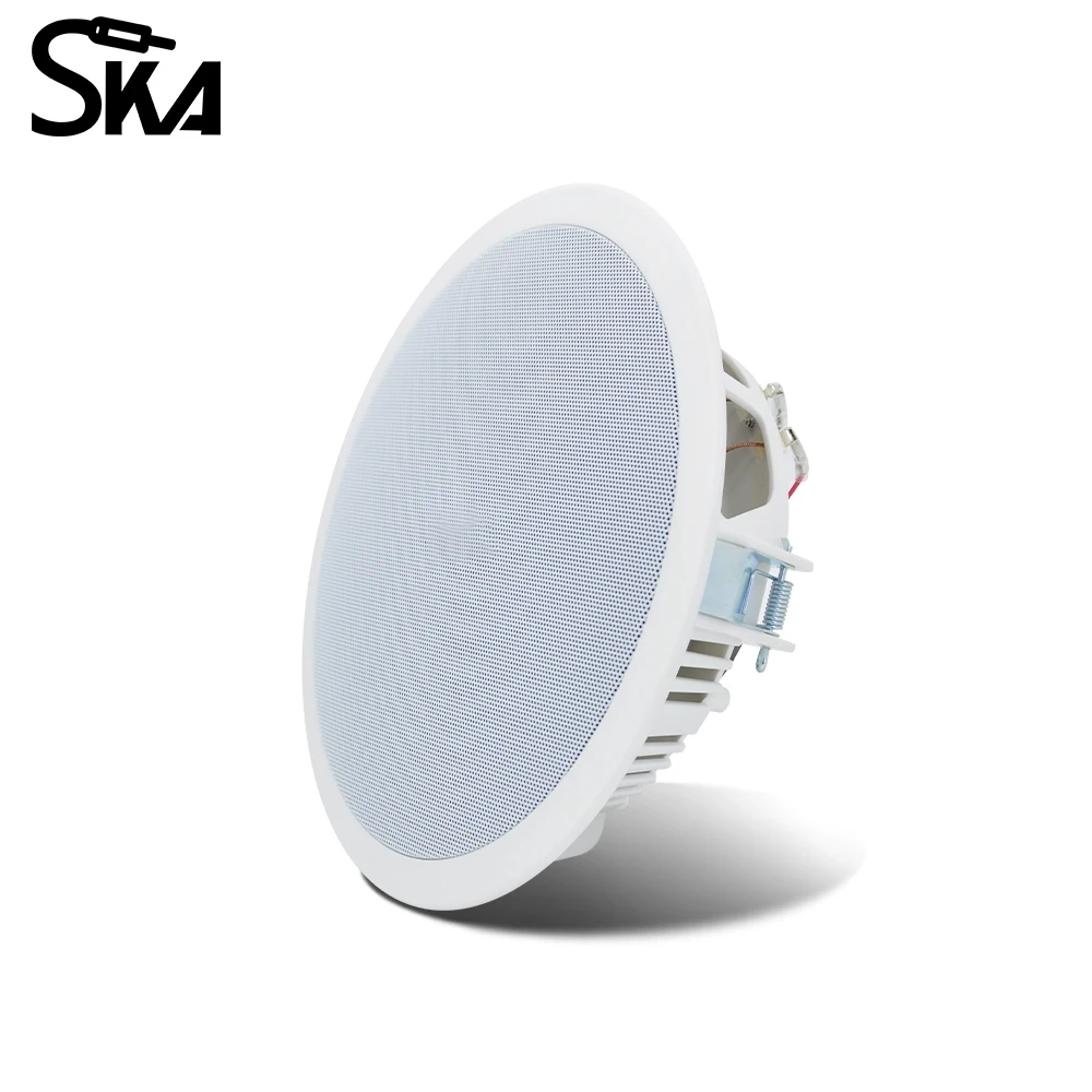 PW4420T+CR815 Akıllı Ev Ses Si - Audio Music Background Free incelemesi ve fiyatı